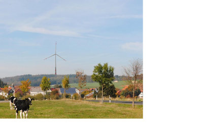 Das Bild zeigt ein Kalb auf einer Weide und im Hintergrund ein Windrad